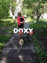 Фотография номер 5 - ВераВерная, 39 лет