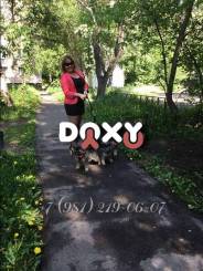 Фотография номер 9 - ВераВерная, 39 лет