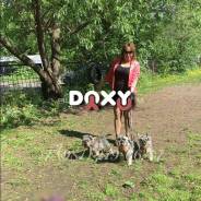 Фотография номер 10 - ВераВерная, 39 лет